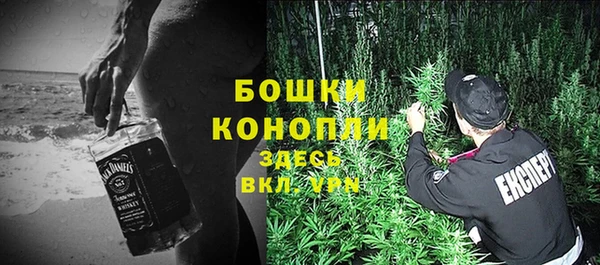 ALPHA PVP Ростов