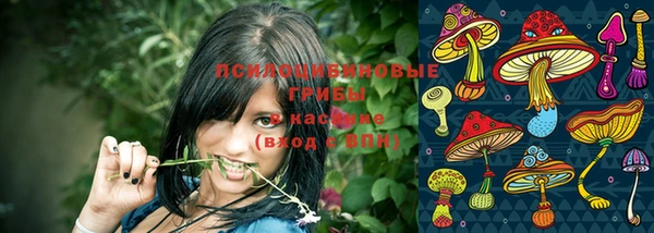 мефедрон Приозерск