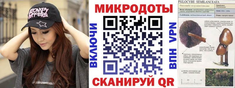 Купить закладки  Шали  Псилоцибиновые грибы Cubensis 